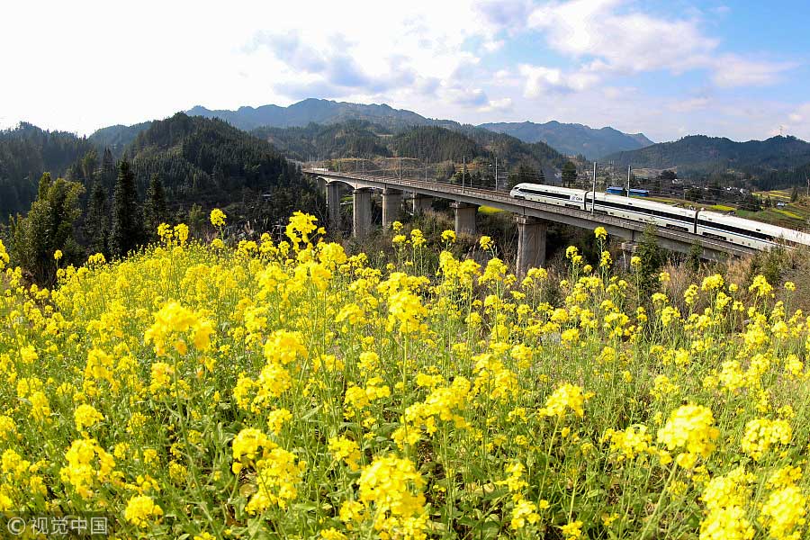 踏青季：春天盛開的9種鮮花 哪一種最美？（組圖）