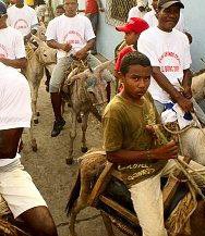 Donkey beauty contest draws Easter crowd