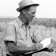 Norman Borlaug: pioneer of the Green Revolution