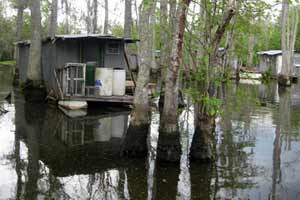 Ever see the horror flick, 'The Swamp Thing'?