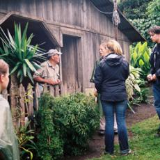 Teaching coffee farmers about the birds and the bees