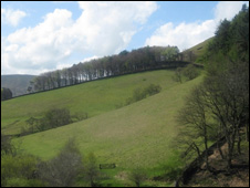 The British Countryside 英國的鄉(xiāng)村