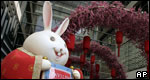 Year of the Rabbit 兔年