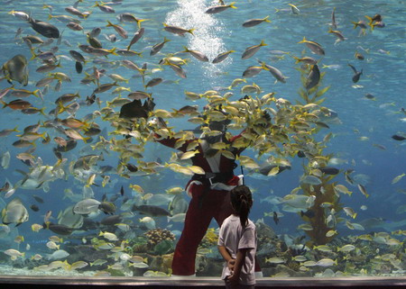 Santa Claus inside oceanarium at Manila Ocean Park