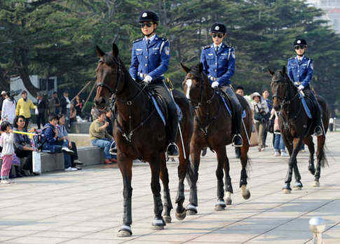 “騎警”及各類警種的英文表達