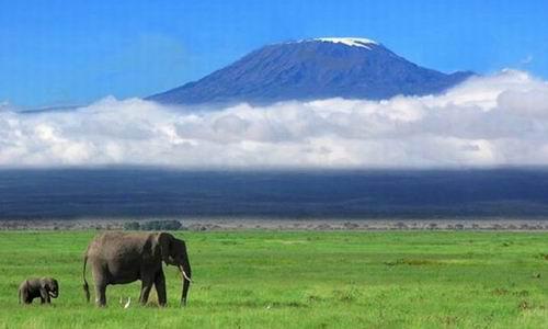 乞力馬扎羅山普通登山者激增 健康風(fēng)險極大