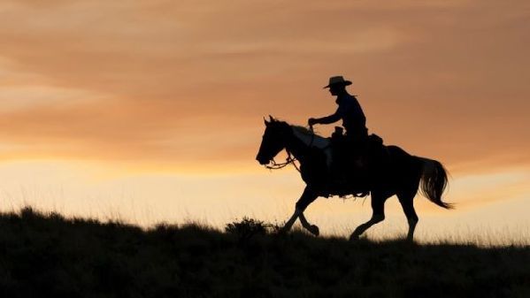 在挪威，texas不只是德克薩斯