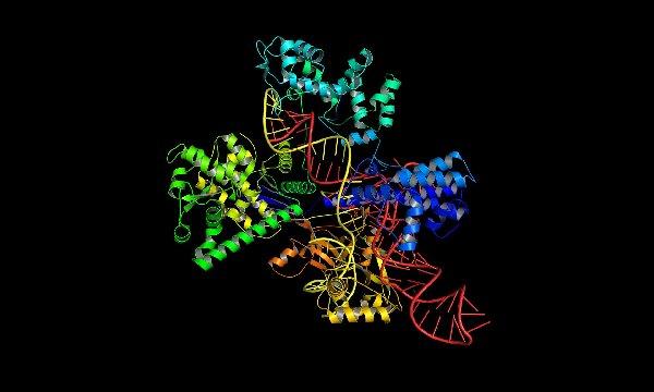 中國科學家將啟動“基因編輯”技術人體試驗