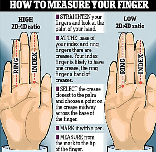 研究：手指長度透露人的性格和才干