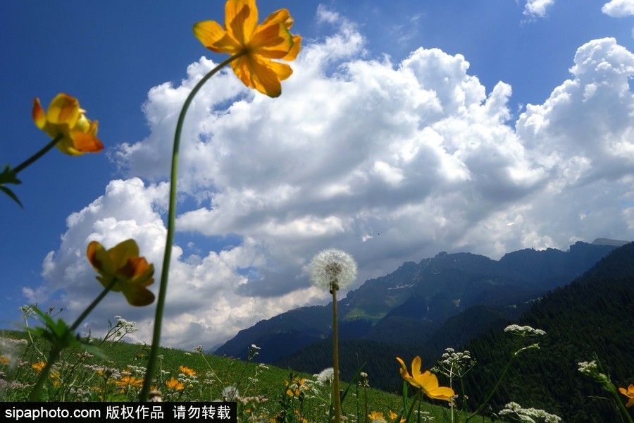 藍天白云刷屏！盤點風清日朗的絕美風光 為眼睛降溫