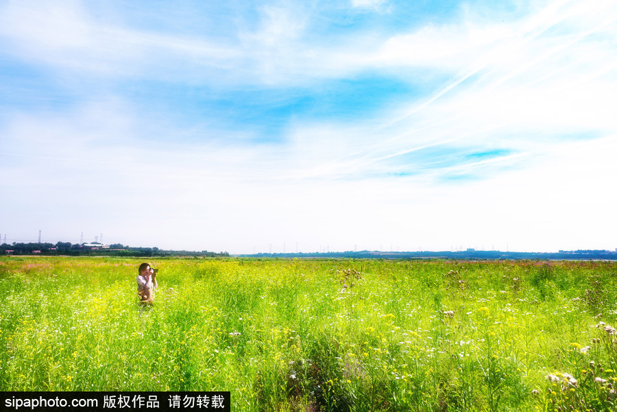 藍天白云刷屏！盤點風清日朗的絕美風光 為眼睛降溫