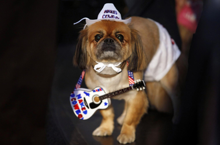 Times Square Dog Day Masquerade