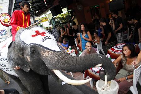 Thai elephants collect money for Haiti