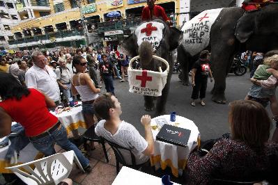 Thai elephants collect money for Haiti