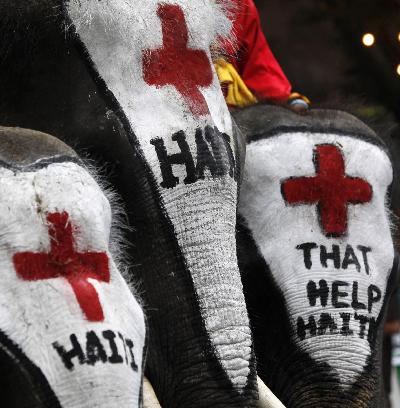 Thai elephants collect money for Haiti